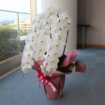 Flowershop*iizuka-飯塚生花店-